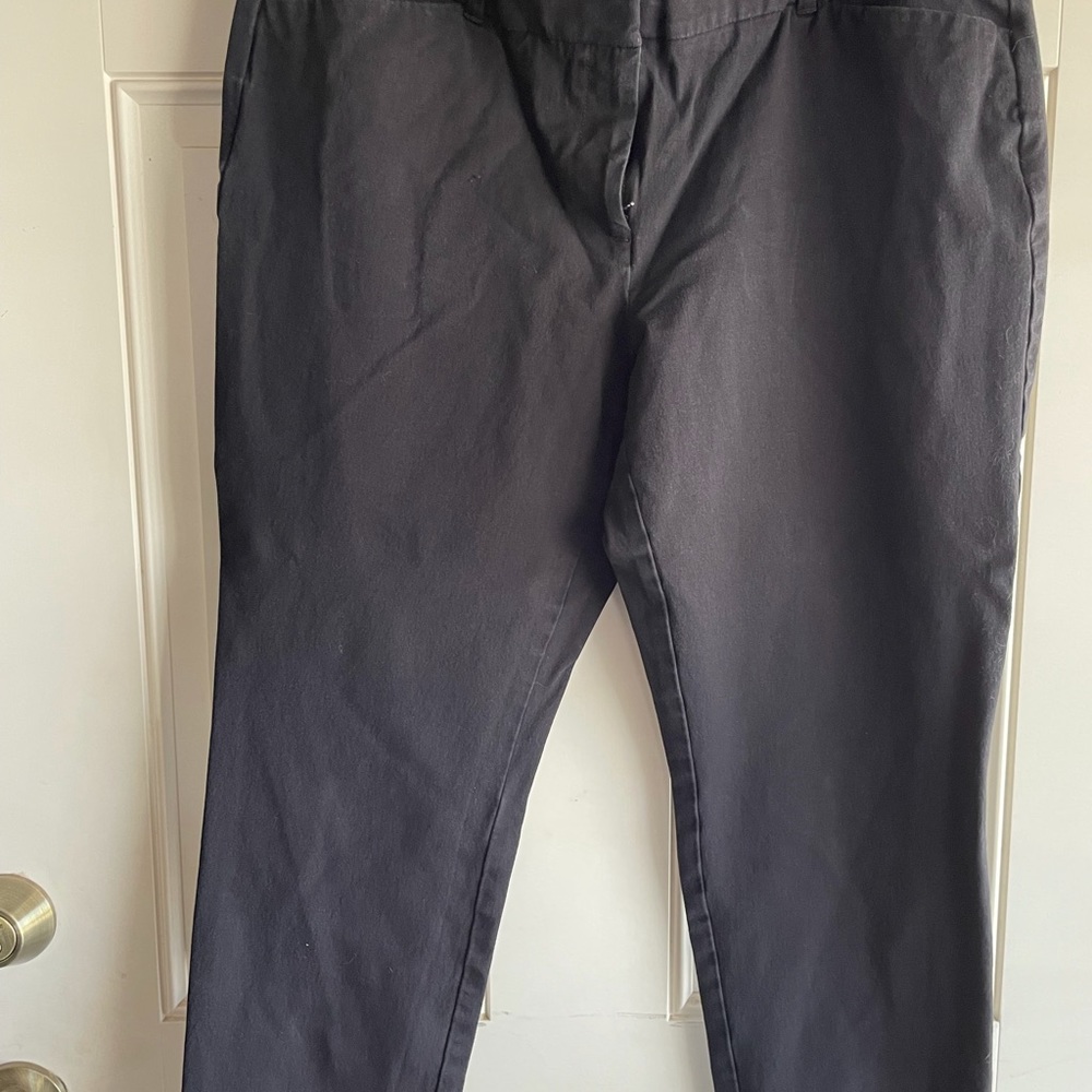 Ann Taylor Loft Pants 14